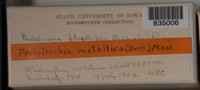 Image Associated With the Occurence